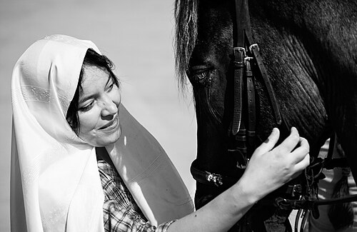 Algerian woman wearing a haïk, looking at a horse.